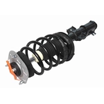Order GSP NORTH AMERICA - 873117 - Suspension Strut and Coil Spring Assembly For Your Vehicle