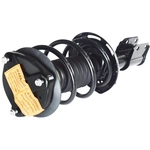 Order GSP NORTH AMERICA - 882868 - Suspension Strut and Coil Spring Assembly For Your Vehicle