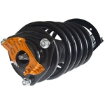 Order GSP NORTH AMERICA - 883007 - Suspension Strut and Coil Spring Assembly For Your Vehicle