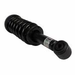 Order Front Complete Strut Assembly by MOTORCRAFT - ASTL21 For Your Vehicle