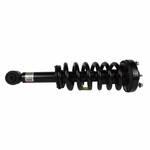 Order Front Complete Strut Assembly by MOTORCRAFT - ASTL21 For Your Vehicle
