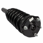 Order Front Complete Strut Assembly by MOTORCRAFT - ASTL22 For Your Vehicle