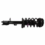 Order Front Complete Strut Assembly by MOTORCRAFT - ASTL31 For Your Vehicle