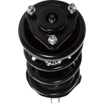 Order Front Complete Strut Assembly by PRT - 814296 For Your Vehicle