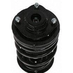 Order Front Complete Strut Assembly by PRT - 814354 For Your Vehicle