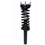 Order Front Complete Strut Assembly by PRT - 815057 For Your Vehicle