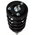 Order Front Complete Strut Assembly by PRT - 815165 For Your Vehicle