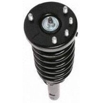 Order Front Complete Strut Assembly by PRT - 815378 For Your Vehicle