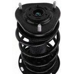 Order Front Complete Strut Assembly by PRT - 816089 For Your Vehicle