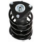 Order Front Complete Strut Assembly by PRT - 817034 For Your Vehicle