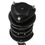 Order Front Complete Strut Assembly by PRT - 818216 For Your Vehicle