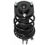 Order Front Complete Strut Assembly by PRT - 818225 For Your Vehicle