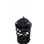 Order Front Complete Strut Assembly by PRT - 818913 For Your Vehicle