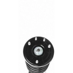 Order Front Complete Strut Assembly by PRT - 819496 For Your Vehicle