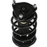 Order Front Complete Strut Assembly by PRT - 819577 For Your Vehicle