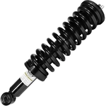 Order Front Complete Strut Assembly by UNITY AUTOMOTIVE - 11081 For Your Vehicle