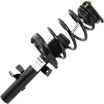 Order UNITY AUTOMOTIVE - 11085 - Front Complete Strut Assembly For Your Vehicle