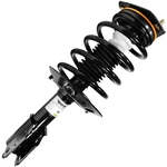 Order UNITY AUTOMOTIVE - 11130 - Front Complete Strut Assembly For Your Vehicle