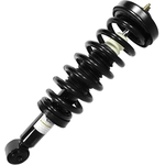 Order UNITY AUTOMOTIVE - 11206 - Front Complete Strut Assembly For Your Vehicle