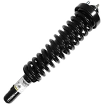 Order UNITY AUTOMOTIVE - 11231 - Front Complete Strut Assembly For Your Vehicle