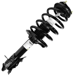 Order UNITY AUTOMOTIVE - 11572 - Front Complete Strut Assembly For Your Vehicle