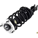 Order WORLDPARTS STRUTS - W1333472 - Assemblage de jambe de force avant complèt  For Your Vehicle