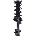 Order WORLDPARTS STRUTS - W3333365R - Assemblage de jambe de force avant complèt  For Your Vehicle
