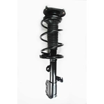 Order Front Complete Strut Assembly by WORLDPARTS STRUTS - W1331601L For Your Vehicle