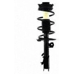 Order Front Complete Strut Assembly by WORLDPARTS STRUTS - W1333271L For Your Vehicle