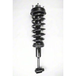 Order Front Complete Strut Assembly by WORLDPARTS STRUTS - W1336332 For Your Vehicle