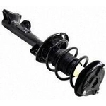 Order Front Complete Strut Assembly by WORLDPARTS STRUTS - W1337061 For Your Vehicle