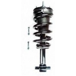 Order Front Complete Strut Assembly by WORLDPARTS STRUTS - W1345555 For Your Vehicle