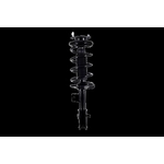 Order Front Complete Strut Assembly by WORLDPARTS STRUTS - W2331741R For Your Vehicle