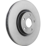 Order Front Disc Brake Rotor by BREMBO - 09.N256.21 (1 Qty) For Your Vehicle