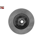 Order Front Disc Brake Rotor by PROMAX - 14-54104 For Your Vehicle