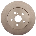 Order RAYBESTOS - 982491R - Front Disc Brake Rotor For Your Vehicle