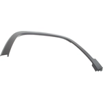 Order Various Manufacturers
 - CH1290111 - Front Driver Side Wheel Opening Molding For Your Vehicle