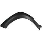 Order Front Driver Side Wheel Opening Molding - HY1290105 For Your Vehicle