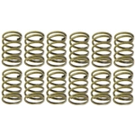 Order Front Hold Down Spring (Pack of 12) by RAYBESTOS - H1150 For Your Vehicle