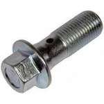 Order Front Hose To Caliper Bolt by DORMAN/HELP - 14100 For Your Vehicle