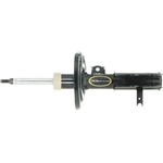 Order Front OESpectrum Strut by MONROE/EXPERT SERIES - 73091 For Your Vehicle