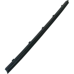 Order Front Passenger Side Door Weatherstrip by SHERMAN PARTS - 906-111R For Your Vehicle