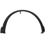 Order Front Passenger Side Wheel Opening Molding - NI1291103C For Your Vehicle