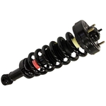 Purchase Assemblage de jambe de force avant de MONROE - 171138