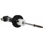 Order Front Shock Absorber by MOTORCRAFT - ASH85966 For Your Vehicle