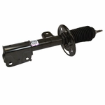 Order Front Shock Absorber by MOTORCRAFT - ASH12241 For Your Vehicle