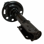Order Front Shock Absorber by MOTORCRAFT - ASH12243 For Your Vehicle