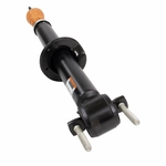 Order Front Shock Absorber by MOTORCRAFT - ASH24711 For Your Vehicle