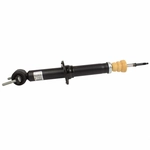 Order Front Shock Absorber by MOTORCRAFT - ASH24744 For Your Vehicle
