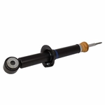 Order Front Shock Absorber by MOTORCRAFT - ASH257 For Your Vehicle